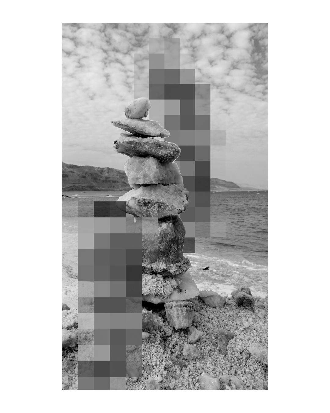 Digital Nature — סדרה II