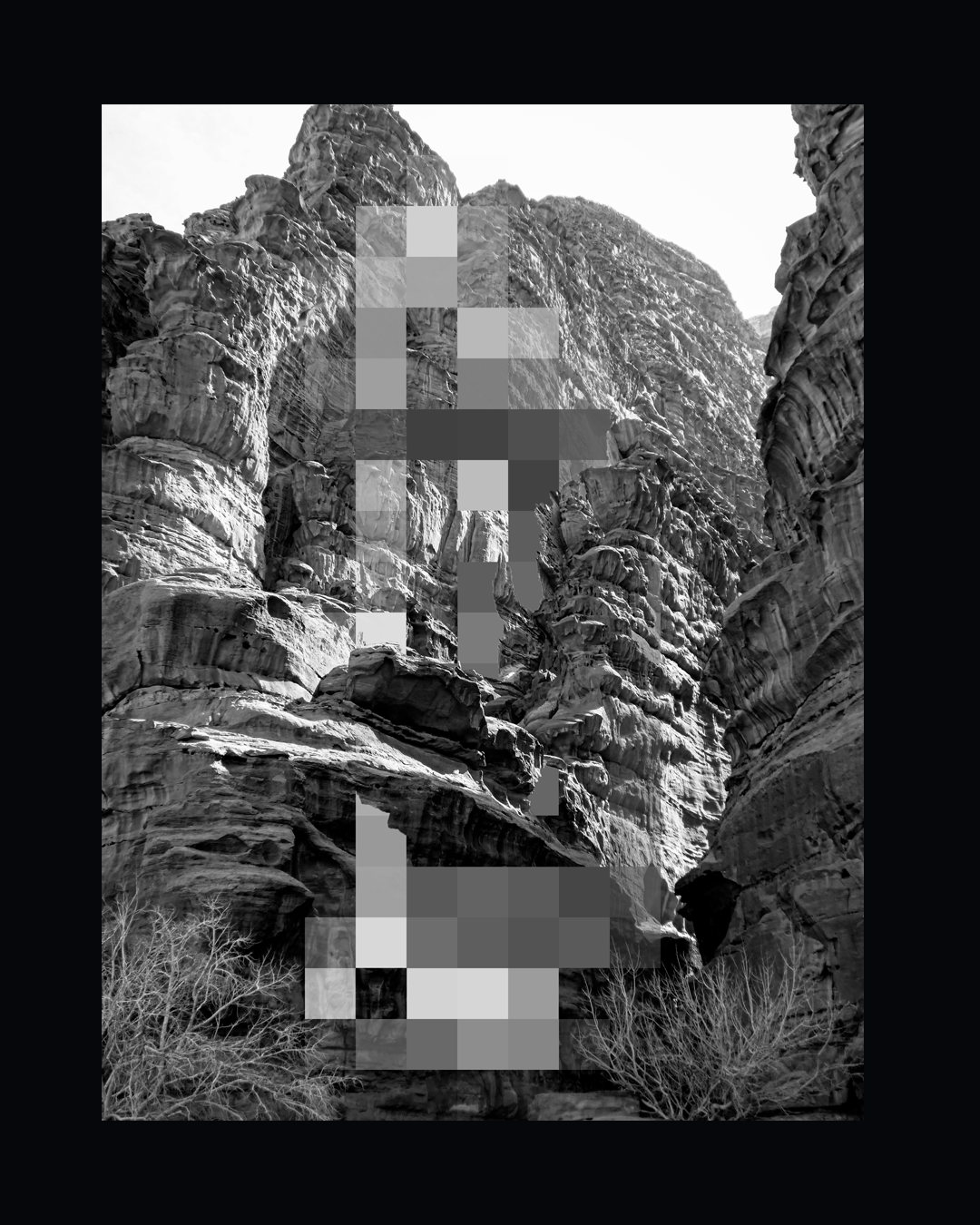 Digital Nature — סדרה III
